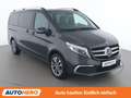 Mercedes-Benz V 250 V 250 d 4MATIC AVANTGARDE lang Grau - thumbnail 8
