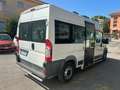 Fiat Ducato 250 disabili pedana 2 carrozzelle metano Alb - thumbnail 2