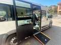 Fiat Ducato 250 disabili pedana 2 carrozzelle metano Alb - thumbnail 7