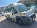 Fiat Ducato 250 disabili pedana 2 carrozzelle metano Alb - thumbnail 3