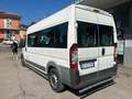 Fiat Ducato 250 disabili pedana 2 carrozzelle metano Alb - thumbnail 4