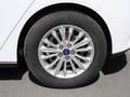 Ford Focus 1.0 Flexifuel mHEV 125ch Titanium X Weiß - thumbnail 7