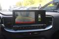 Kia Ceed / cee'd 1.5 T-GDi DynamicPlusLine | Camera | CarPlay | Stu Rouge - thumbnail 14