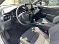 Toyota C-HR C-LUB Wit - thumbnail 12
