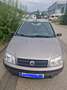 Fiat Punto Punto 1,2 Lifestyle Lifestyle Bronze - thumbnail 1