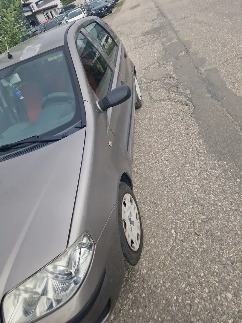 Fiat Punto Punto 1,2 Lifestyle Lifestyle Bronze - 2