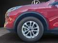 Ford Kuga Plug-In Hybrid Titanium ''SHZ+LHZ+RFK+AHK+uvm'' Rot - thumbnail 14