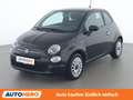 Fiat 500 1.0 Mild-Hybrid Schwarz - thumbnail 1