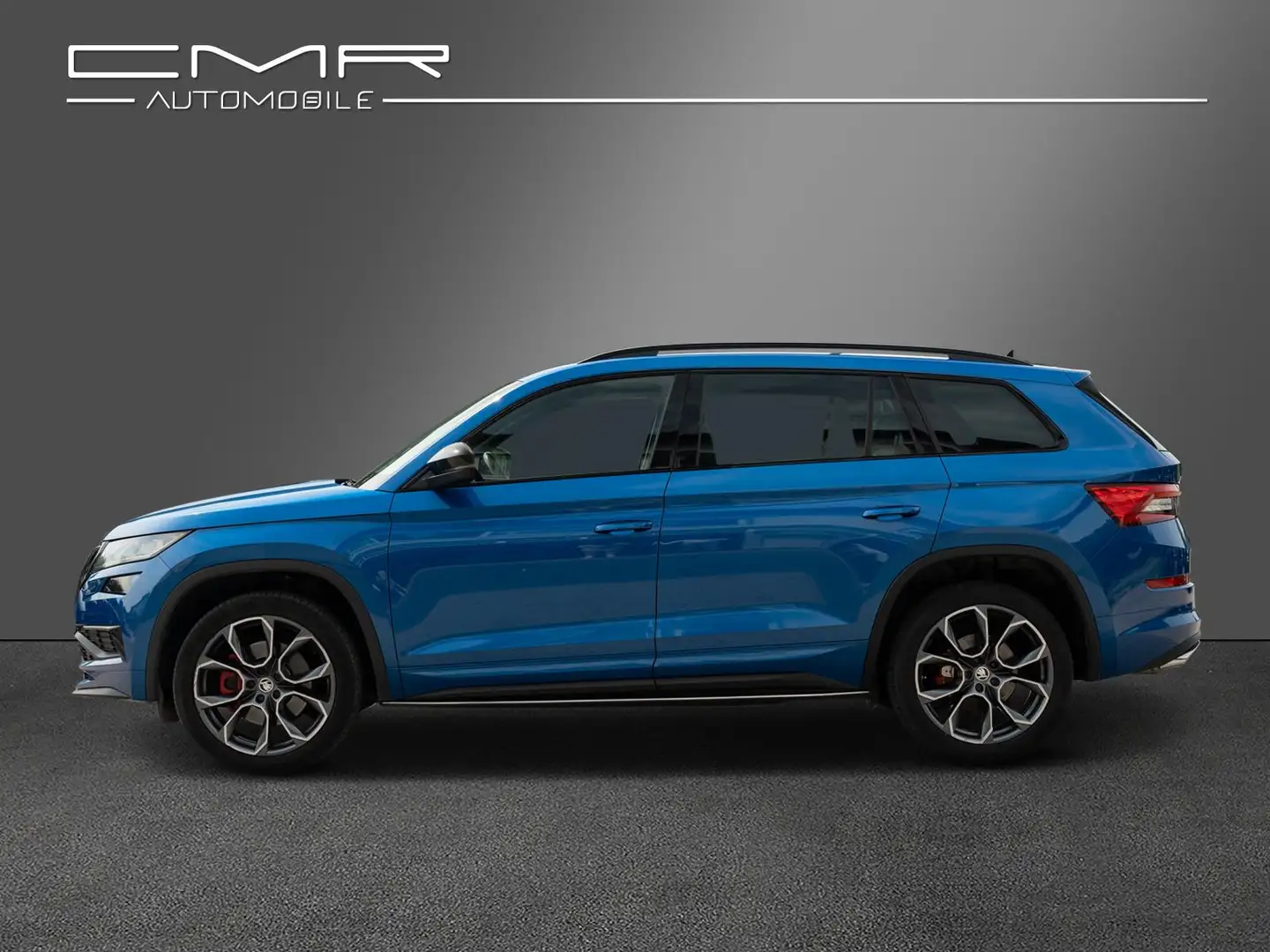Skoda Kodiaq RS 4x4 Columbus Family Trittbretter Kessy Blau - 2