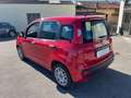 Fiat Panda 1.0 FireFly S&S Hybrid - PER NEOPATENTATO - Rosso - thumbnail 12