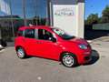 Fiat Panda 1.0 FireFly S&S Hybrid - PER NEOPATENTATO - Rosso - thumbnail 13