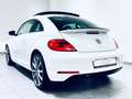 Volkswagen Beetle Lim. Design * AUTOMATIK * PANO-DACH * Biały - thumbnail 8