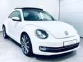 Volkswagen Beetle Lim. Design * AUTOMATIK * PANO-DACH * Biały - thumbnail 12