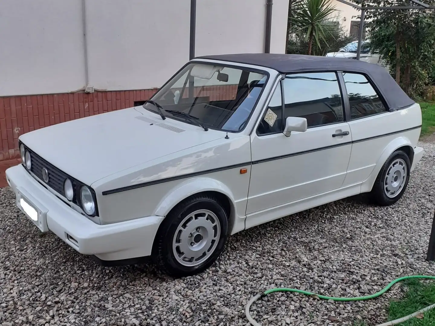 Volkswagen Golf Cabriolet Golf Cabrio 1.6 Young Alb - 1