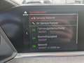 BMW X5 xDrive30d |Luftfahrwerk |Ahk |Panorama |Sthzg |DAP Grijs - thumbnail 17