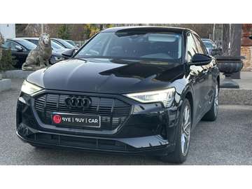 Sportback e-Quattro 50 - 313  SPORTBACK Avus Extended