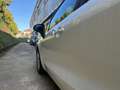 Kia Rio Rio 1.2 CVVT 5p. Active Bianco - thumbnail 12