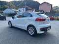 Kia Rio Rio 1.2 CVVT 5p. Active Bianco - thumbnail 3