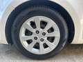 Kia Rio Rio 1.2 CVVT 5p. Active Bianco - thumbnail 13