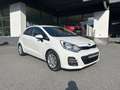 Kia Rio Rio 1.2 CVVT 5p. Active Bianco - thumbnail 7