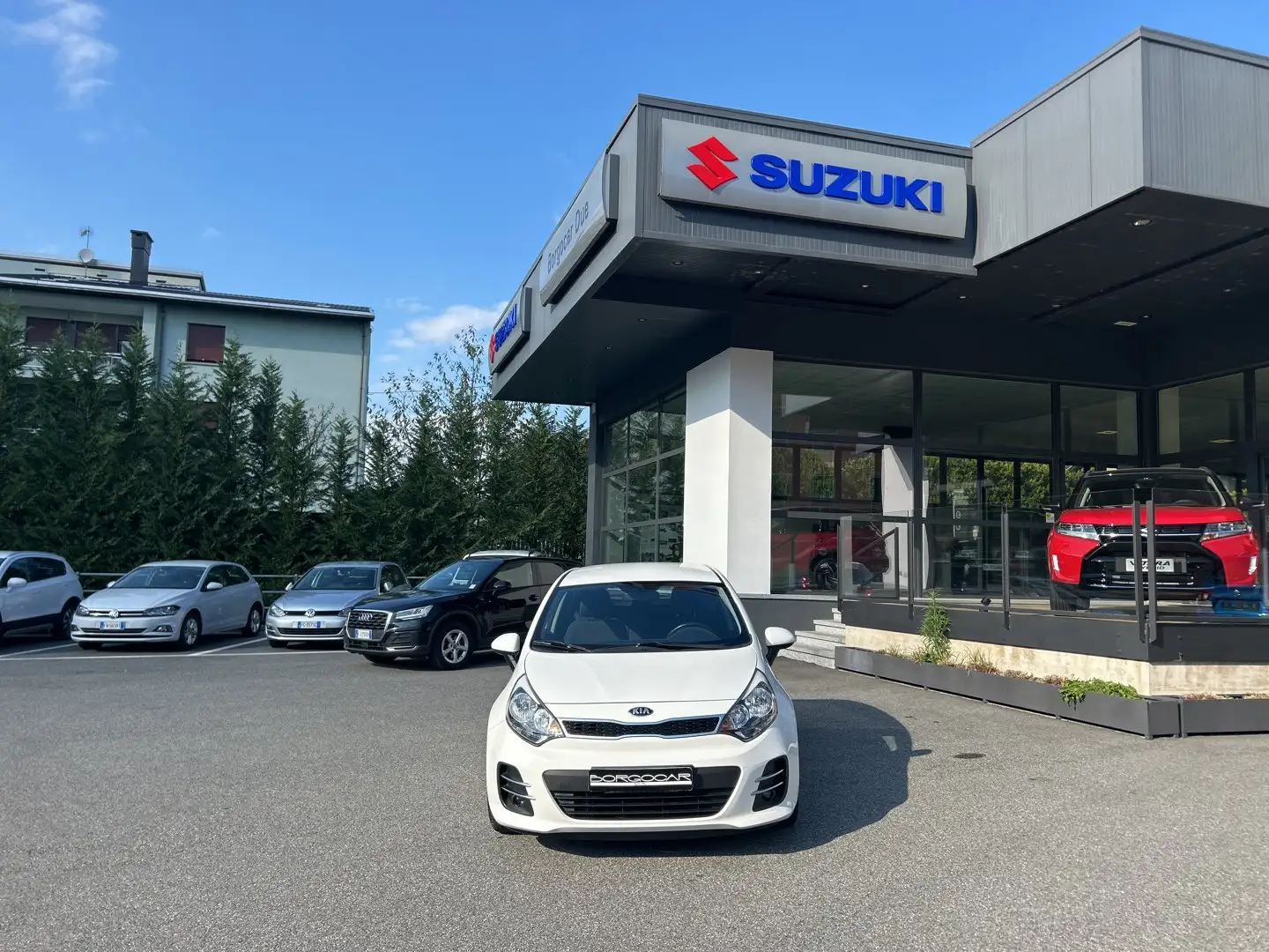Kia Rio Rio 1.2 CVVT 5p. Active Bianco - 2