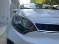 Kia Rio Rio 1.2 CVVT 5p. Active Bianco - thumbnail 10