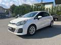 Kia Rio Rio 1.2 CVVT 5p. Active Bianco - thumbnail 8