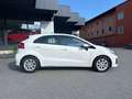 Kia Rio Rio 1.2 CVVT 5p. Active Bianco - thumbnail 6