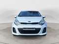 Kia Rio Rio 1.2 CVVT 5p. Active Bianco - thumbnail 1