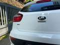 Kia Rio Rio 1.2 CVVT 5p. Active Bianco - thumbnail 11