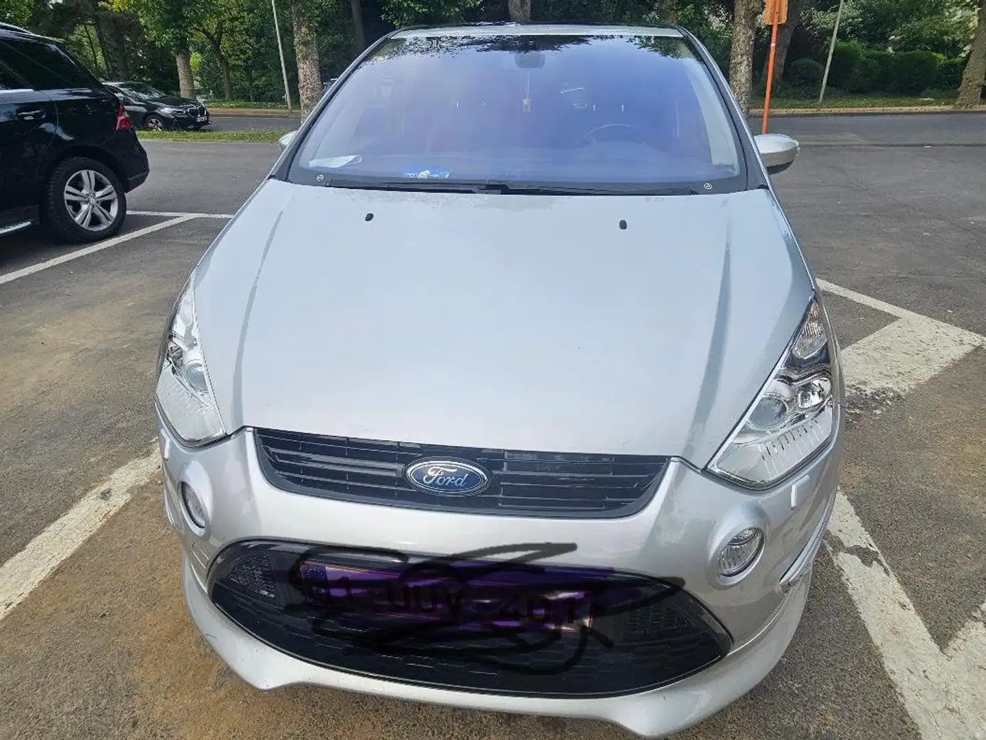 Ford S-Max S-Max 2.0 TDCi Titanium S DPF Argent - 1