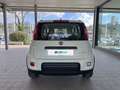 Fiat Panda 1.0 FireFly 70cv S&S Hybrid City Life Bianco - thumbnail 4