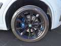 BMW X3 xDrive30d M-Sportpaket M Sportpaket Glasdach Grau - thumbnail 11