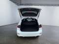 Ford Focus Turnier ST-Line 1.0 EcoBoost ACC NAVI KAM Wit - thumbnail 14