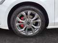 Ford Focus Turnier ST-Line 1.0 EcoBoost ACC NAVI KAM Weiß - thumbnail 15