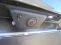 Ford Kuga Kuga III 2020 1.5 ecoblue ST-Line 2wd 120cv auto Grau - thumbnail 16