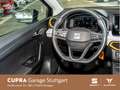 SEAT Ibiza 1.0 TSI Style 70 kW *SHZ* *EPH* *KLIMA* Blau - thumbnail 9