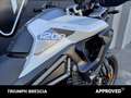 Triumph Tiger 1200 GT Pro Abs Bianco - thumbnail 5