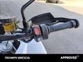Triumph Tiger 1200 GT Pro Abs Bianco - thumbnail 9