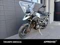 Triumph Tiger 1200 GT Pro Abs Bianco - thumbnail 11