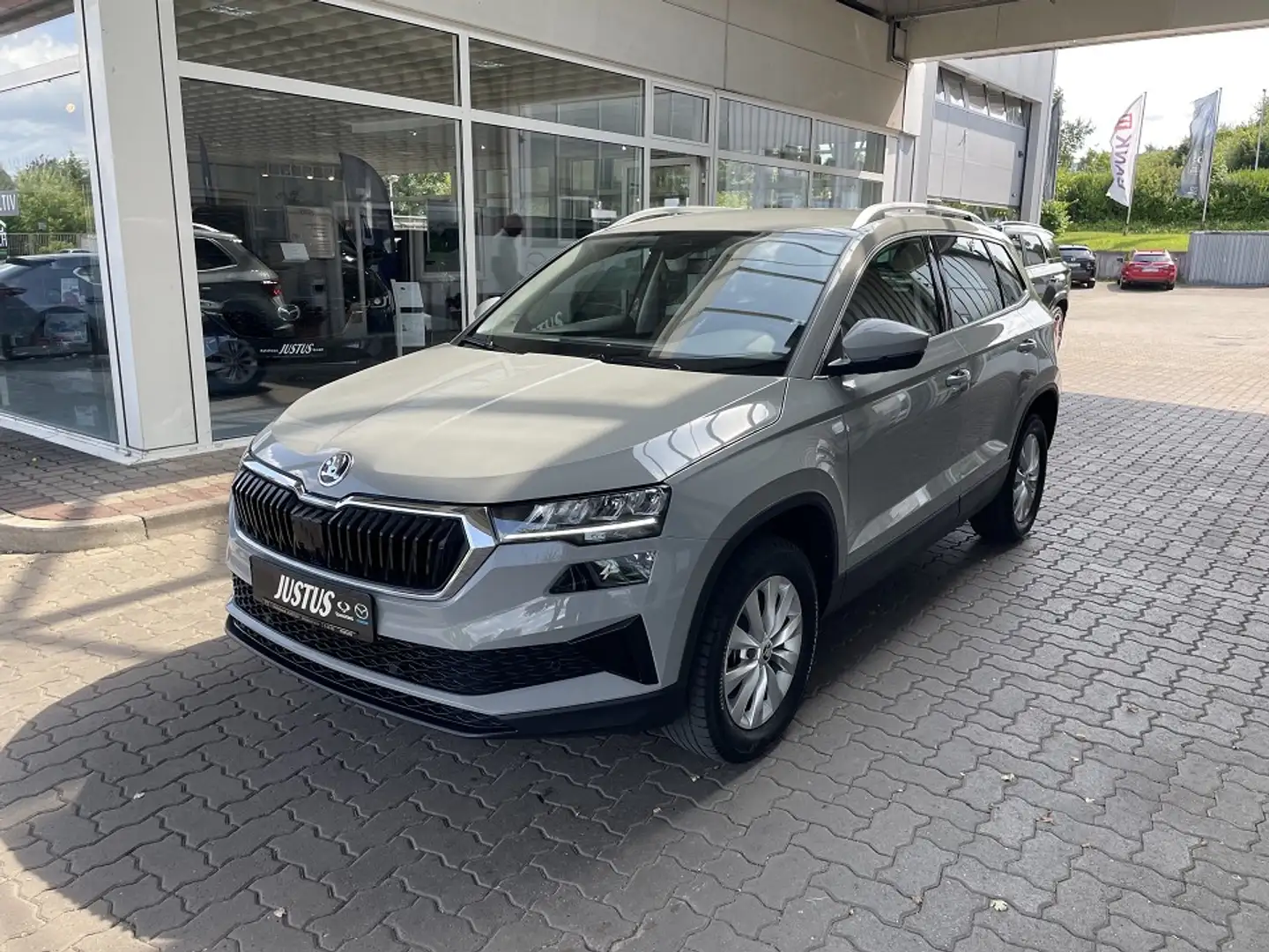 Skoda Karoq Gri - 1