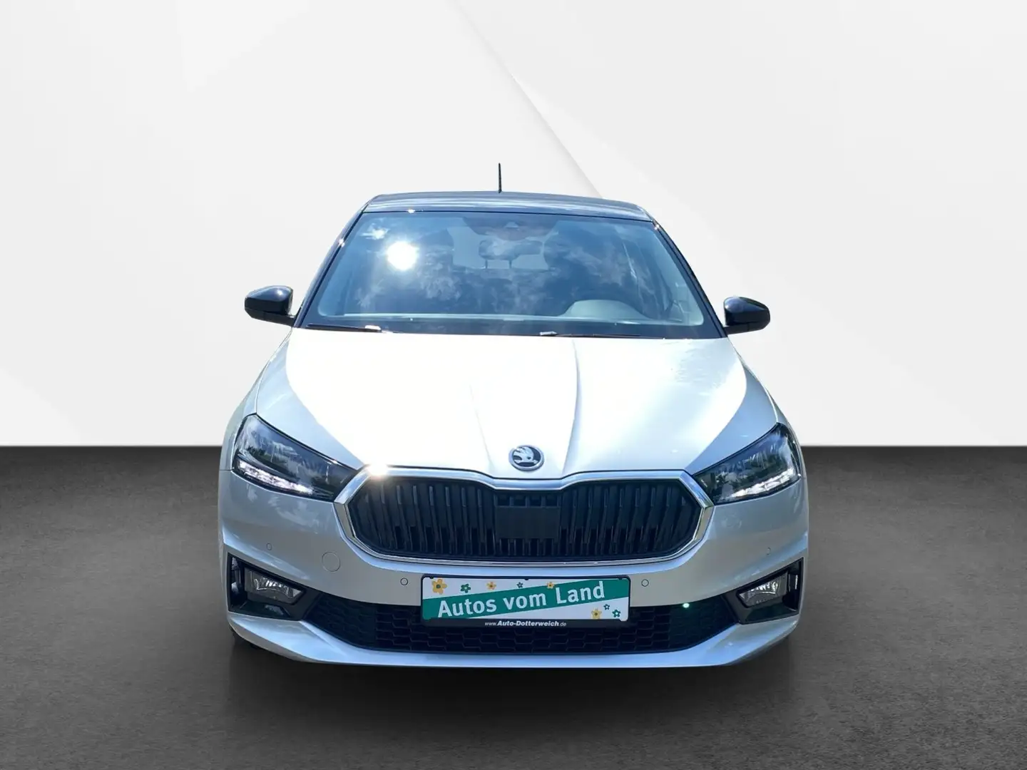Skoda Fabia Style Kamera, Alu, Klimaaut. Argent - 2