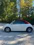 Volkswagen New Beetle Cabrio 1.9 tdi 105cv - thumbnail 10