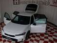 Honda Civic e:HEV 2.0 Sport e-CVT Blanco - thumbnail 8