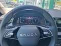 Skoda Kamiq Selection TSI DSG Schwarz - thumbnail 15