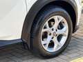 Nissan Juke DIG-T 114 DCT N-Connecta | AUTOMAAT | APPLE CARPLA Wit - thumbnail 37