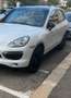 Porsche Cayenne 3.0 V6 tdi 245cv tiptronic - thumbnail 1