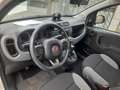 Fiat Panda Panda III 2021 1.0 firefly hybrid City Life s Weiß - thumbnail 11