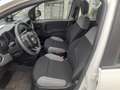 Fiat Panda Panda III 2021 1.0 firefly hybrid City Life s Weiß - thumbnail 12