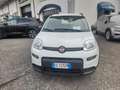 Fiat Panda Panda III 2021 1.0 firefly hybrid City Life s Weiß - thumbnail 7